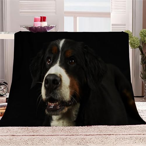 Berner Sennenhund Kuscheldecke Flauschig 150x200 Hund, Haustier Weich Sofadecke Kuschelig Decke Warm Sommer Flanelldecke Wohndecke Schlafdecke personalisierte Decke Tagesdecke couchdecke von RLYXGS