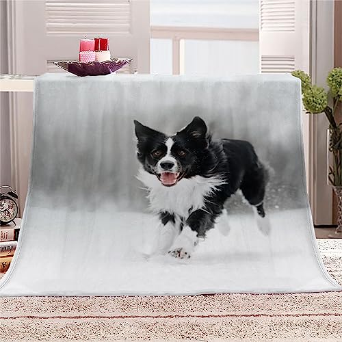 Border Collie Kuscheldecke Flauschig 150x200 Wintertiere Weich Sofadecke Kuschelig Decke Warm Sommer Flanelldecke Wohndecke Schlafdecke personalisierte Decke Tagesdecke couchdecke von RLYXGS