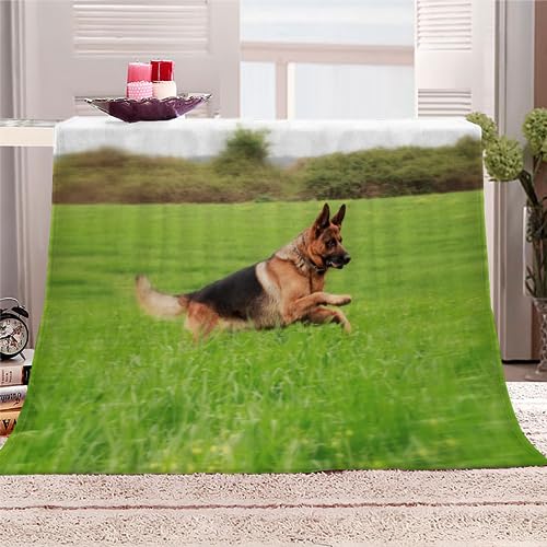 Deutscher Schäferhund Kuscheldecke Flauschig 150x200 Hund, Tier Weich Sofadecke Kuschelig Decke Warm Sommer Flanelldecke Wohndecke Schlafdecke personalisierte Decke Tagesdecke couchdecke von RLYXGS