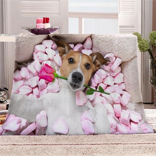 Jack Russell Terrier Kuscheldecke Flauschig 150x200 Hund, Tier Weich Sofadecke Kuschelig Decke Warm Sommer Flanelldecke Wohndecke Schlafdecke personalisierte Decke Tagesdecke couchdecke von RLYXGS