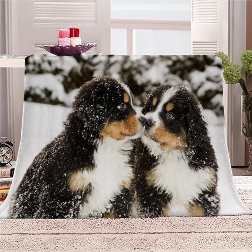 Kids 3D Berner Sennenhund Kuscheldecke 70x100 cm Baby Kinder Hund, Haustier Weiche Flauschig Flanelldecke Sherpa Fleecedecke Wohndecke Warmer Sommer Mädchen Jungen Decke für Sofa TV Bett von RLYXGS