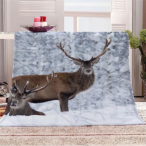 Kids 3D REH Kuscheldecke 100x130 cm Tiere, Wald Weiche Flauschig Flanelldecke Sherpa Fleecedecke Wohndecke Warmer Sommer Kinder Mädchen Jungen Decke für Sofa TV Bett von RLYXGS