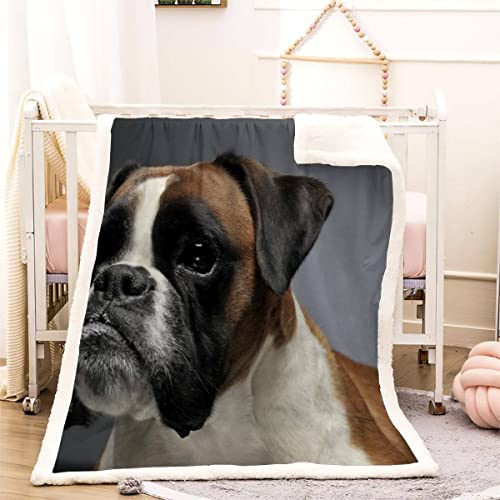 Kuscheldecke 130x150 Boxer-Hund 3D Haustier Hund Warm Fleece-Decke Weich Flauschige Sherpa Wohndecke Microfaser Sofadecke Couchdecke Zweiseitige Decke Dekor Schlafzimmer Kollektion Winter von RLYXGS