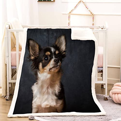 Kuscheldecke 130x150 Chihuahua 3D Tierischer Hund Warm Fleece-Decke Weich Flauschige Sherpa Wohndecke Microfaser Sofadecke Couchdecke Zweiseitige Decke Dekor Schlafzimmer Kollektion Winter von RLYXGS