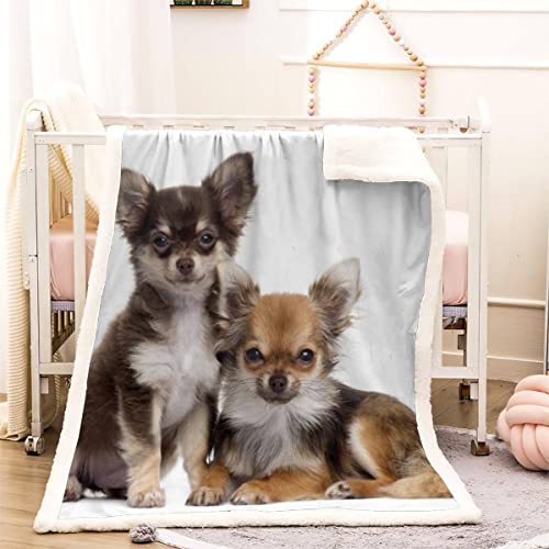 Kuscheldecke 150x200 Chihuahua 3D Tierischer Hund Warm Fleece-Decke Weich Flauschige Sherpa Wohndecke Microfaser Sofadecke Couchdecke Zweiseitige Decke Dekor Schlafzimmer Kollektion Winter von RLYXGS