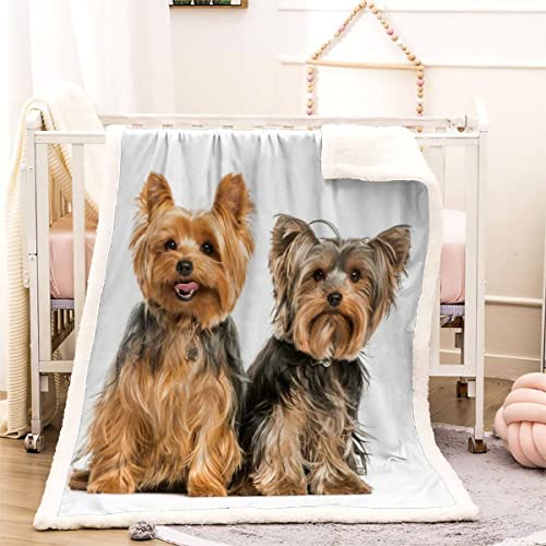 Kuscheldecke 150x200 Yorkshire-Terrier 3D Haustier Hund Warm Fleece-Decke Weich Flauschige Sherpa Wohndecke Microfaser Sofadecke Couchdecke Zweiseitige Decke Dekor Schlafzimmer Kollektion Winter von RLYXGS