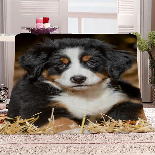 Kuscheldecke Berner Sennenhund Flauschige Wohndecke Haustier Hund Weich Fleecedeck Tagesdecke Sofadecke Wärme Flanell Decke für Couch Bett Stuhl Büro Sommer personalisierte Decke 130x150cm von RLYXGS