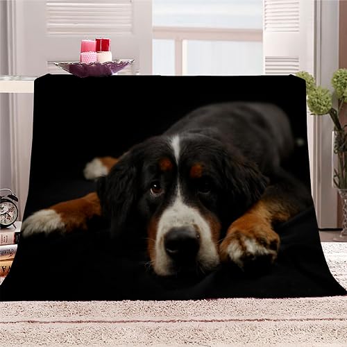 Kuscheldecke Berner Sennenhund Flauschige Wohndecke Haustier Hund Weich Fleecedeck Tagesdecke Sofadecke Wärme Flanell Decke für Couch Bett Stuhl Büro Sommer personalisierte Decke 70x100cm von RLYXGS