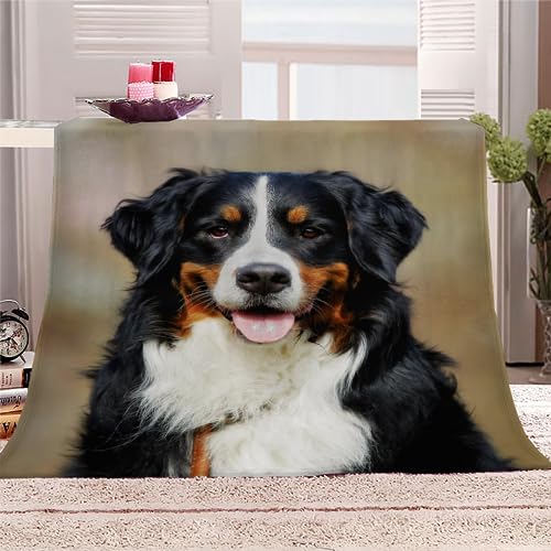 Kuscheldecke Berner Sennenhund Flauschige Wohndecke Hund, Haustier Weich Fleecedeck Tagesdecke Sofadecke Wärme Flanell Decke für Couch Bett Stuhl Büro Sommer personalisierte Decke 130x150cm von RLYXGS