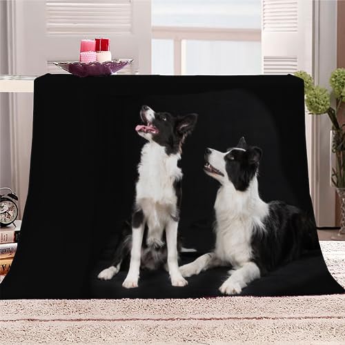 Kuscheldecke Border Collie Flauschige Wohndecke Hund, Tier Weich Fleecedeck Tagesdecke Sofadecke Wärme Flanell Decke für Couch Bett Stuhl Büro Sommer personalisierte Decke 70x100cm von RLYXGS