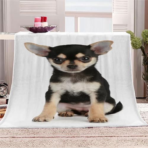 Kuscheldecke Chihuahua Flauschige Wohndecke Hund, Tier Weich Fleecedeck Tagesdecke Sofadecke Wärme Flanell Decke für Couch Bett Stuhl Büro Sommer personalisierte Decke 130x150cm von RLYXGS