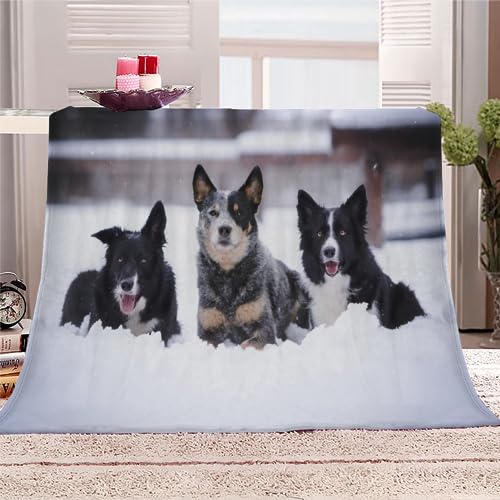 Kuscheldecke Erwachsene 3D Border Collie Flanelldecke Sherpa Fleecedecke Motiv Decke 150x200 cm Mädchen Jungen Tier, Hund Weiche Microfaser Warmer Wohndecke Bettüberwurf Sofatdecke von RLYXGS