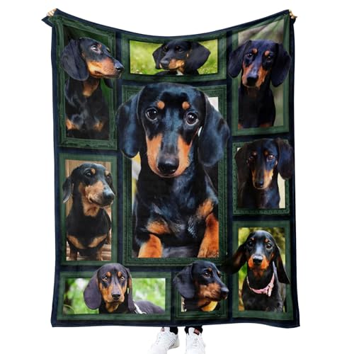 Kuscheldecke Erwachsene 3D Dackel Flanelldecke Motiv Decke 150x200 cm Mädchen Jungen Tiere Hunde Weiche Microfaser Warmer Wohndecke Bettüberwurf Sofatdecke B111 von RLYXGS
