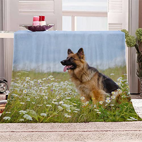 Kuscheldecke Erwachsene 3D Deutscher Schäferhund Flanelldecke Sherpa Fleecedecke Motiv Decke 150x200 cm Mädchen Jungen Gänseblümchen Haustier Weiche Microfaser Warmer Wohndecke Bettüberwurf Sofatdecke von RLYXGS