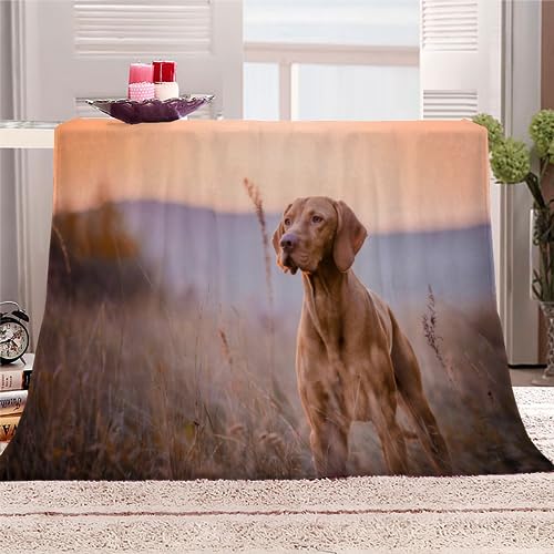 Kuscheldecke Erwachsene 3D Ungarischer Vizsla-Hund Flanelldecke Sherpa Fleecedecke Motiv Decke 150x200 cm Mädchen Jungen Hund Tier Weiche Microfaser Warmer Wohndecke Bettüberwurf Sofatdecke von RLYXGS