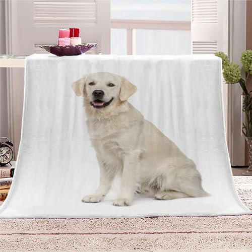 Kuscheldecke Golden Retriever Flauschige Wohndecke Hund, Haustier Weich Fleecedeck Tagesdecke Sofadecke Wärme Flanell Decke für Couch Bett Stuhl Büro Sommer personalisierte Decke 130x150cm von RLYXGS