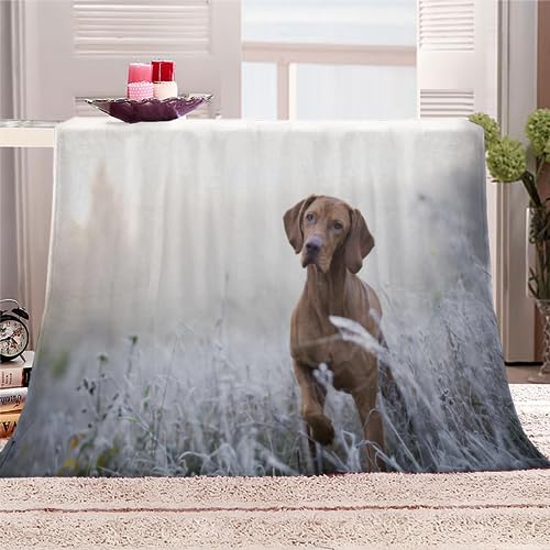 Kuscheldecke Ungarischer Vizsla-Hund Flauschige Wohndecke Hund Tier Weich Fleecedeck Tagesdecke Sofadecke Wärme Flanell Decke für Couch Bett Stuhl Büro Winter personalisierte Decke 130x150cm von RLYXGS