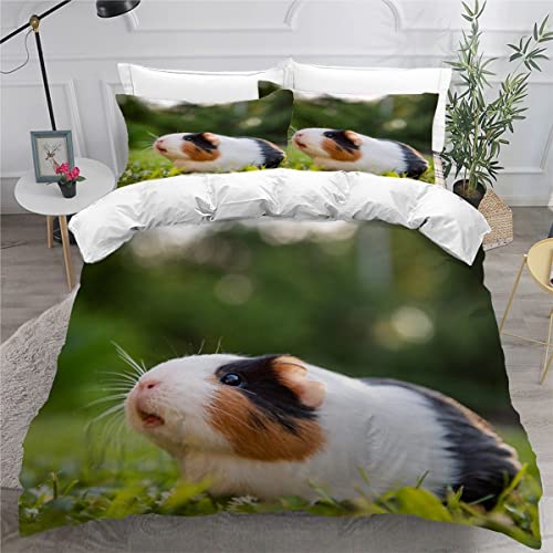 Meerschweinchen Bettwäsche 135x200cm 3D Drucken Meerschweinchen Bettbezug Set für Jungen Mädchen Teens Kinderbettwäsche Mikrofaser Weiche Luxus Bettwaren Raumdekor 3-teiliges +2 Kissenbezug 80x80 von RLYXGS