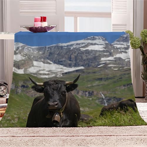 Ochse Kuscheldecke Flauschig 100x130 Die Kuh Weich Sofadecke Kuschelig Decke Warm Sommer Flanelldecke Wohndecke Schlafdecke personalisierte Decke Tagesdecke couchdecke von RLYXGS