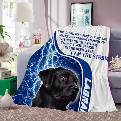 RLYXGS Labrador Retriever Kuscheldecke Flauschig 150x200 Schwarz Tierisch Weich Sofadecke Kuschelig Decke Sommer Flanelldecke Wohndecke Schlafdecke personalisierte Tagesdecke couchdecke B503 von RLYXGS