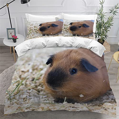 Tier Bettwäsche 135x200cm 3D Drucken Meerschweinchen Bettbezug Set für Jungen Mädchen Teens Kinderbettwäsche Mikrofaser Weiche Luxus Bettwaren Raumdekor 3-teiliges +2 Kissenbezug 80x80 von RLYXGS