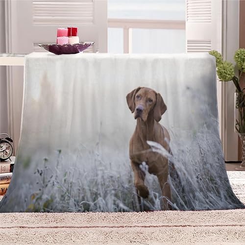 Ungarischer Vizsla-Hund Kuscheldecke Flauschig 150x200 Hund Tier Weich Sofadecke Kuschelig Decke Warm Winter Flanelldecke Wohndecke Schlafdecke personalisierte decke Tagesdecke couchdecke Ungarischer Vizsla-Hund Kuscheldecke Flauschig 150x200 Hund Tier Weich Sofadecke Kuschelig Decke Warm Winter Flanelldecke Wohndecke Schlafdecke personalisierte decke Tagesdecke couchdecke von RLYXGS