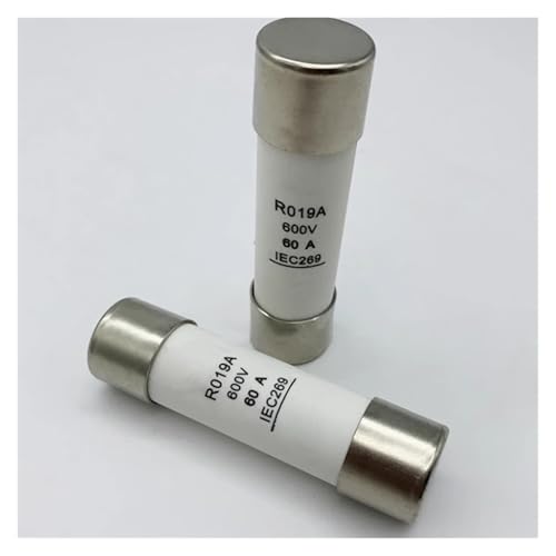 1 stücke Sicherung R019A RO19A 32A 40A 60A 63A Keramik Sicherung Rohr 600V 20,5 * 76 20,5 x76(R019A-40A) von RLZQSGOT
