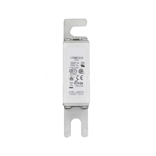 170M1310 Sicherung von RLZQSGOT