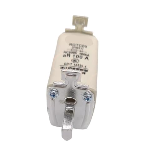 NGTC00 RS31 Sicherungen 16A 20A 25A 32A 40A 50A 63A 80A 100A RS31 125A 150A 160A 690V 800V NE80(25a) von RLZQSGOT