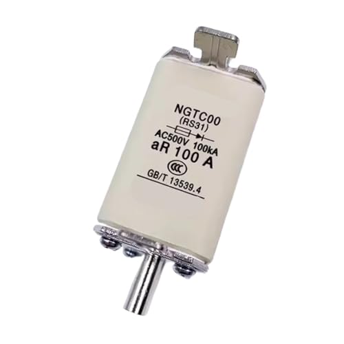 RS31 NGTC00 RS31 Sicherungskern 63A 80A 100A 125A 160A(200A) von RLZQSGOT