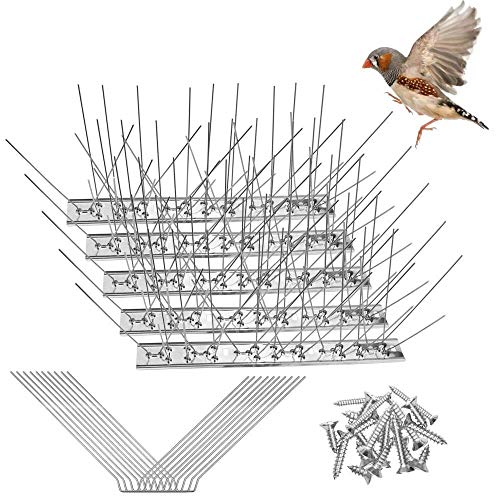 RMENOOR Taubenabwehr Spikes 5 Pcs Vogelspikes Edelstahl Vogelschutzgitter Rostfreie Taubenschutz Dachrinne Universell Vogelabwehr Spikes Taubenabwehr für Tauben Spatzen Elstern（2.7 * 25cm） von RMENOOR