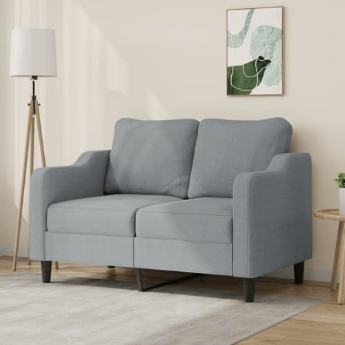 2-Sitzer Sofa Modern mit Strapazierfähigem Stoff und Robustem Metallgestell, Bequemes Polstersofa für Wohnzimmer, Schlafzimmer oder Büro, Atmungsaktiv und 2-Sitzer Sofa Modern mit Strapazierfähigem Stoff und Robustem Metallgestell, Bequemes Polstersofa für Wohnzimmer, Schlafzimmer oder Büro, Atmungsaktiv und von RMIHSJG