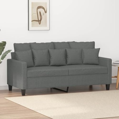 2-Sitzer Sofa Modern mit Strapazierfähigem Stoff und Robustem Metallgestell, Bequemes Sitzpolster für Wohnzimmer, Esszimmer oder Büro, Atmungsaktiv und von RMIHSJG