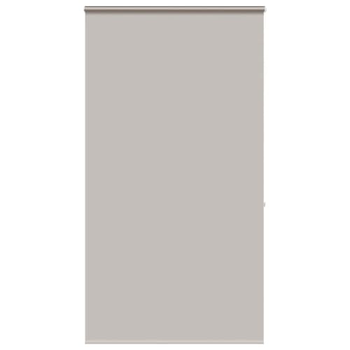 Duschrollo mit Kassette PEVA wasserfest platzsparend Decken- oder Wandmontage verstellbar Kindersicherheit Badezimmer Duschvorhang Alternative von RMIHSJG