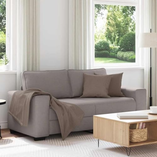 Gemütliches 2-Sitzer Sofa mit Polsterung und Armlehnen für Wohnzimmer, Büro oder Gästezimmer – Atmungsaktives Polyestergewebe auf robustem Holz-Metall Gestell Gemütliches 2-Sitzer Sofa mit Polsterung und Armlehnen für Wohnzimmer, Büro oder Gästezimmer – Atmungsaktives Polyestergewebe auf robustem Holz-Metall Gestell von RMIHSJG