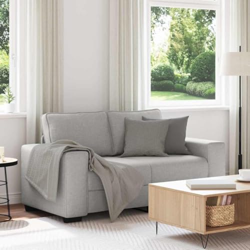 Gemütliches 2-Sitzer Sofa mit Polsterung und Armlehnen für Wohnzimmer, Büro oder Gästezimmer – Atmungsaktives Polyestergewebe und stabiles Holz-Metall-Gestell von RMIHSJG