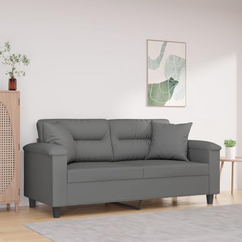 Modernes 2-Sitzer Sofa mit Zierkissen, Langlebige Mikrofaser Polsterung und Robustes Metallgestell für Wohnzimmer, Esszimmer oder Büro, Bequem mit Dicker von RMIHSJG