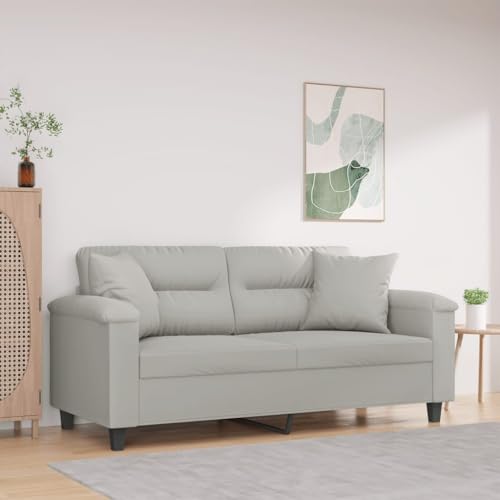 Modernes 2-Sitzer Sofa mit Zierkissen, Langlebige Mikrofaser Polsterung und Robustes Metallgestell für Wohnzimmer, Esszimmer oder Büro, Bequem und Einfach zu von RMIHSJG