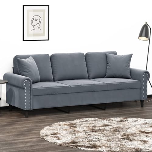 Modernes 3-Sitzer Samtsofa mit Zierkissen, weicher Veloursstoff und Robustes Metallgestell Stabilität im Wohnzimmer von RMIHSJG