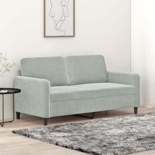RMIHSJG Samtsofa 2-Sitzer mit Metallgestell, Bequemes Polstersofa für Wohnzimmer, Modernes Velours Sofa mit Sitzkissen, Luxuriöses Design für Entspannung und RMIHSJG Samtsofa 2-Sitzer mit Metallgestell, Bequemes Polstersofa für Wohnzimmer, Modernes Velours Sofa mit Sitzkissen, Luxuriöses Design für Entspannung und von RMIHSJG