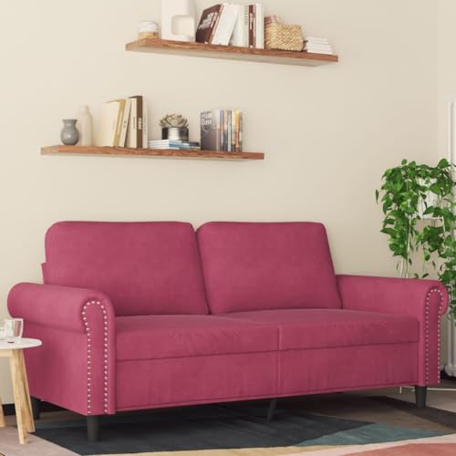 RMIHSJG Samtsofa 2-Sitzer mit Metallgestell, Bequemes Polstersofa für Wohnzimmer, Modernes Velours Sofa mit Sitzkissen, Stabiles Sitzmöbel für Entspannung und Fernsehen RMIHSJG Samtsofa 2-Sitzer mit Metallgestell, Bequemes Polstersofa für Wohnzimmer, Modernes Velours Sofa mit Sitzkissen, Stabiles Sitzmöbel für Entspannung und Fernsehen von RMIHSJG