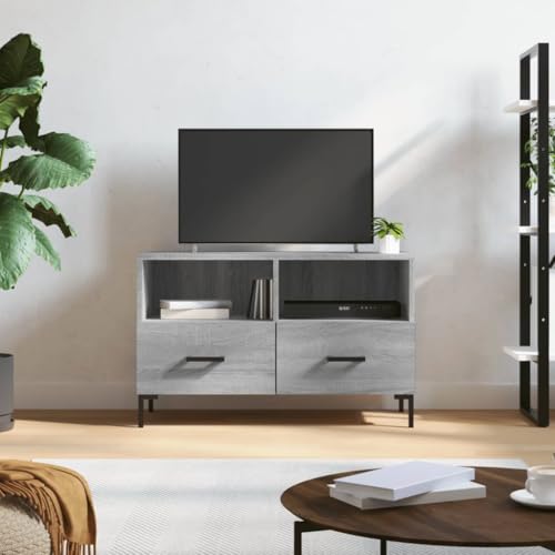 RMIHSJG TV-Schrank Grau Sonoma Fernseher kommode tv unterschrank Fernsehschrank tv kommode 80x36x50 cm Holzwerkstoff von RMIHSJG