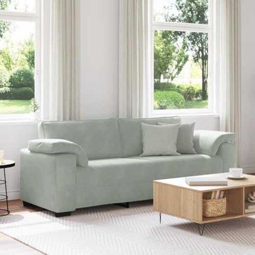 Samt Relaxsofa 3-Sitzer mit gepolsterten Sitzkissen und Metallgestell, bequemes Wohnzimmer Sofa für Moderne Einrichtung, plüschiger Sessel zum Entspannen von RMIHSJG