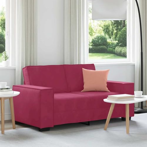 Samt Sofa 2-Sitzer mit Holzgestell und Metallfüßen, Bequemes Polster Sofa für Wohnzimmer, Büro oder Gästezimmer, Breite Armlehnen und Hoher Sitzkomfort von RMIHSJG