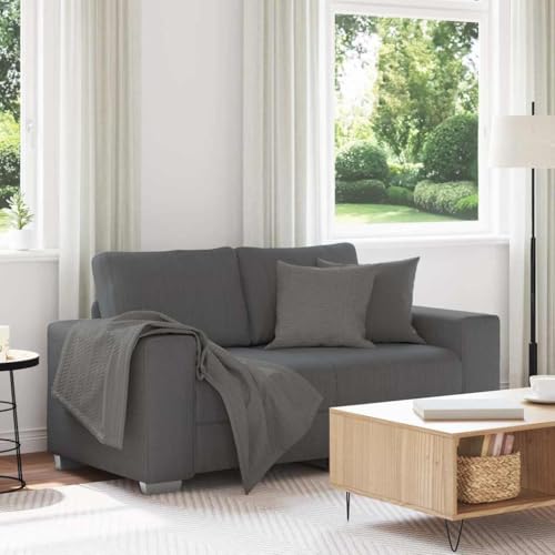 Zweisitzer-Sofa aus Cordstoff mit gepolsterten Sitzkissen und robustem Sperrholzgestell für Wohnzimmer und Empfangsbereich, modernes Design mit Strukturiertem von RMIHSJG