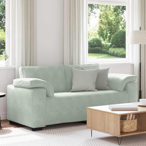 Zweisitzer-Sofa aus Samt mit gepolsterten Sitzkissen und Metallgestell, modernes Relaxsofa für Wohnzimmer, Schlafzimmer oder Arbeitszimmer mit stabilen Zweisitzer-Sofa aus Samt mit gepolsterten Sitzkissen und Metallgestell, modernes Relaxsofa für Wohnzimmer, Schlafzimmer oder Arbeitszimmer mit stabilen von RMIHSJG