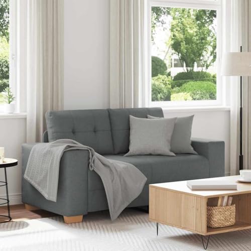 Zweisitzer-Sofa aus strapazierfähigem Polyestergewebe mit gepolsterten Sitzkissen und robustem Sperrholz-Metall-Gestell für Wohnzimmer, Schlafzimmer oder Zweisitzer-Sofa aus strapazierfähigem Polyestergewebe mit gepolsterten Sitzkissen und robustem Sperrholz-Metall-Gestell für Wohnzimmer, Schlafzimmer oder von RMIHSJG