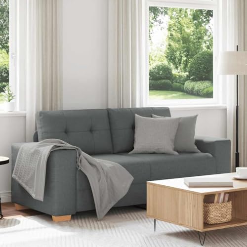 Zweisitzer-Sofa aus strapazierfähigem Polyestergewebe mit gepolsterten Sitzkissen und robustem Sperrholz-Metall-Gestell für Wohnzimmer, Schlafzimmer oder Zweisitzer-Sofa aus strapazierfähigem Polyestergewebe mit gepolsterten Sitzkissen und robustem Sperrholz-Metall-Gestell für Wohnzimmer, Schlafzimmer oder von RMIHSJG