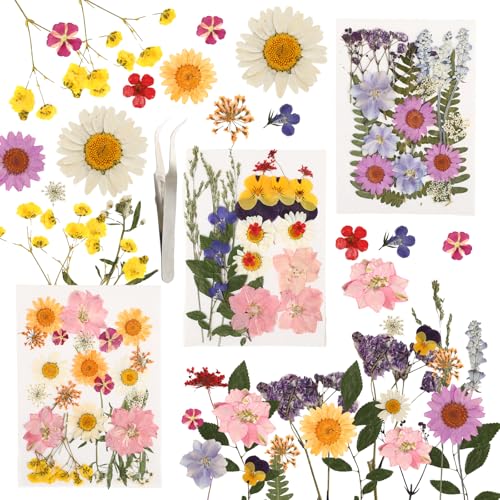 Getrocknete Blumen Set, 66 Stück gepresste Blumen & getrocknete Blüten, Trockenblumen zum Basteln für DIY Kerzen, Harz, Schmuck, Trockenblumen klein für Scrapbooking & Dekoration. Getrocknete Blumen Set, 66 Stück gepresste Blumen & getrocknete Blüten, Trockenblumen zum Basteln für DIY Kerzen, Harz, Schmuck, Trockenblumen klein für Scrapbooking & Dekoration. von RMIVEGLIA