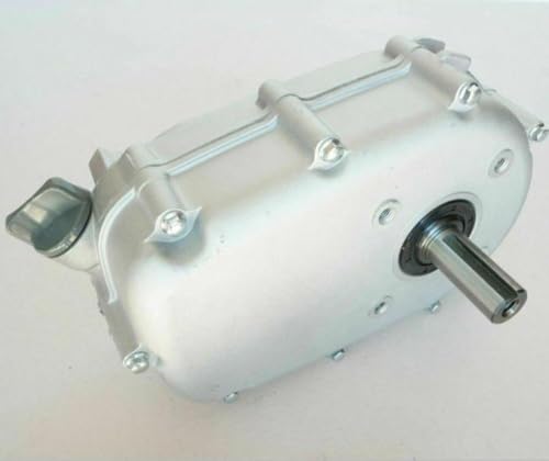 GX160 Getriebe kompatibel mit GX140 GX200 196CC 216CC Go Kart 1 bis 2 Untersetzungsgetriebe Kupplungskette Lager Öldichtungskappe Zapfwelle kompatible Getriebebaugruppe(Q TYPE 19.05MM SHAFT) von RMXGZQ